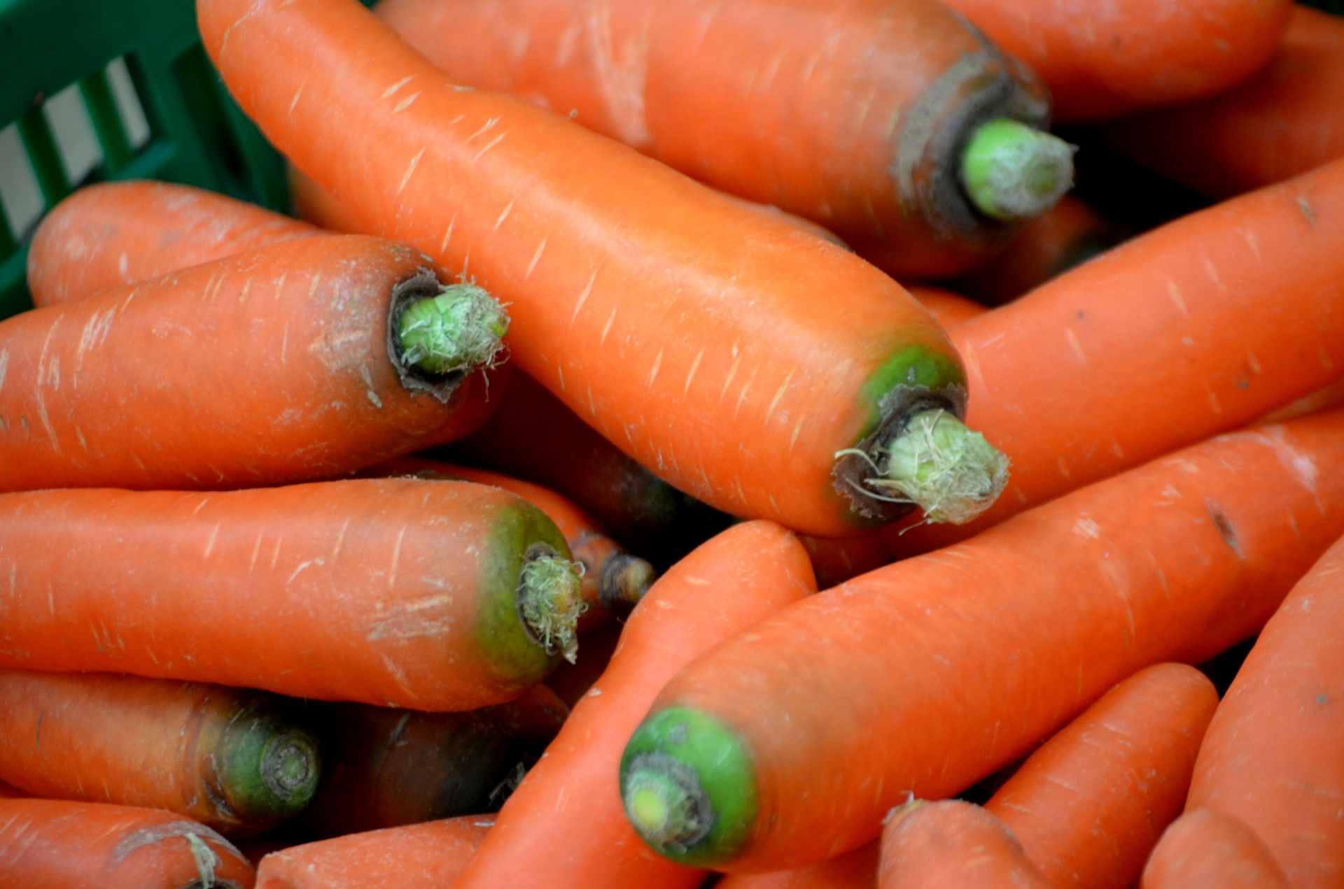 food vegetable carrot free photo