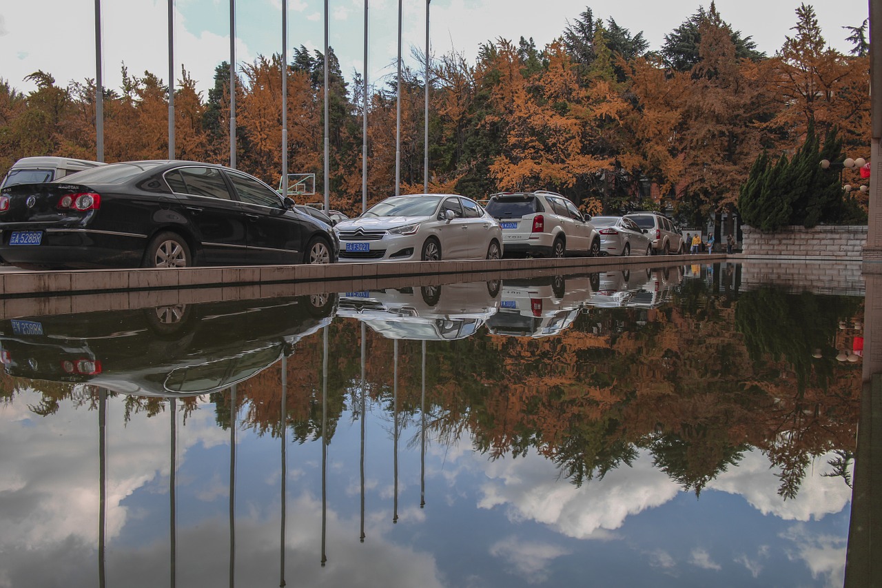 cars pond reflection free photo