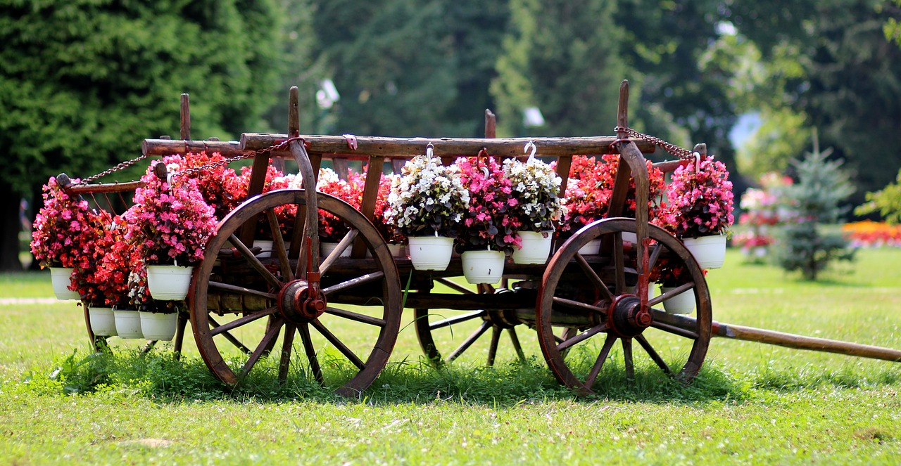 cart flowers rustic free photo