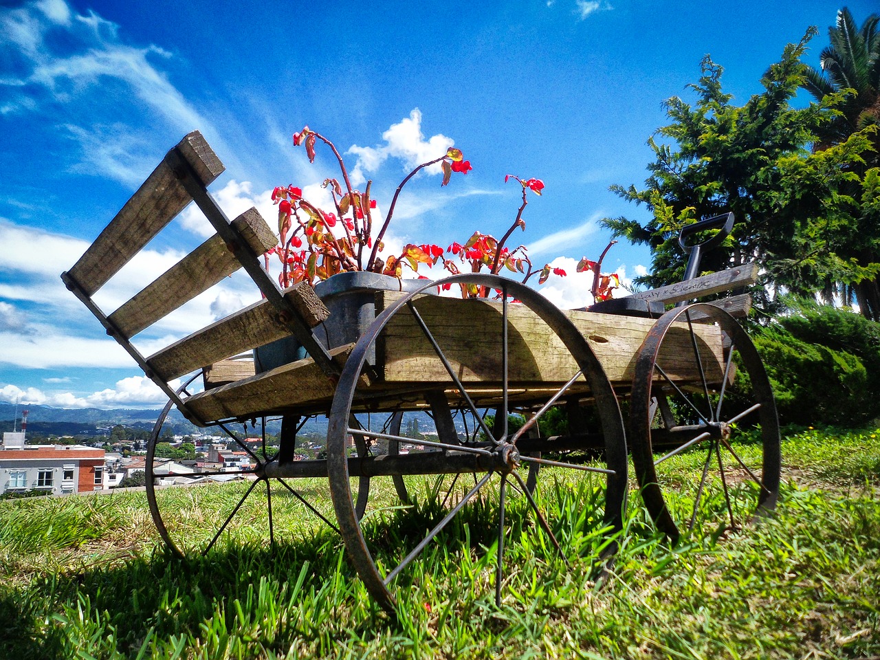 cart flowers landscape free photo