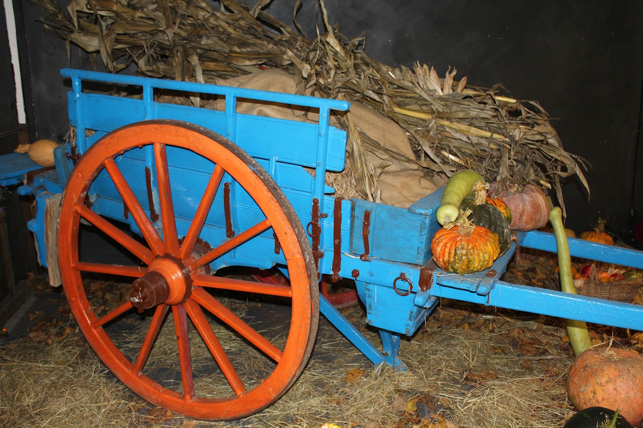cart wagon farm wagon free photo