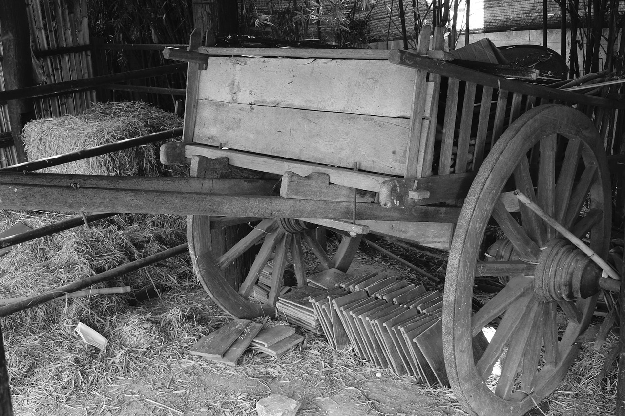 cart oxcart horse drawn carriage free photo