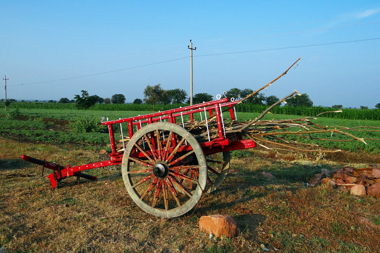 cart colorful farm utility free photo