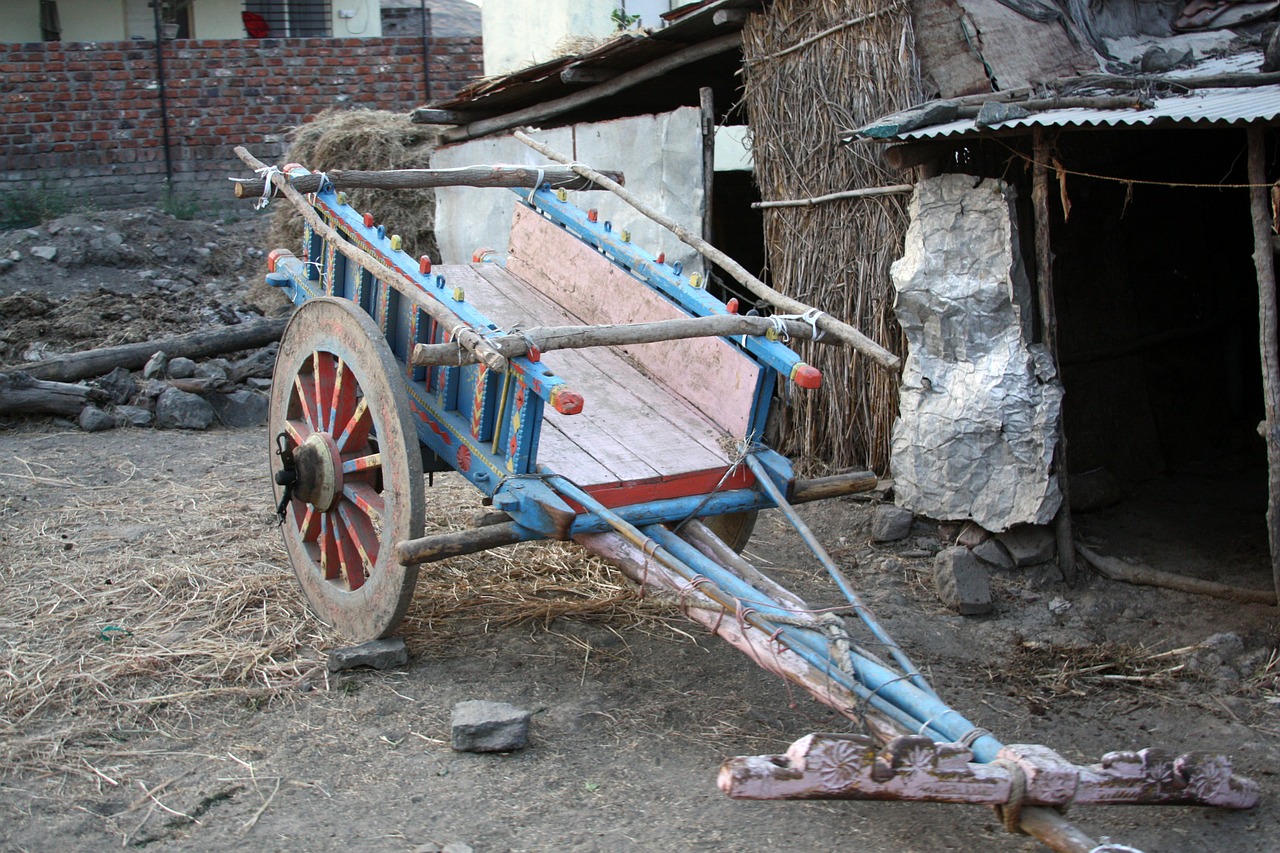 cart ox cart bullock cart free photo