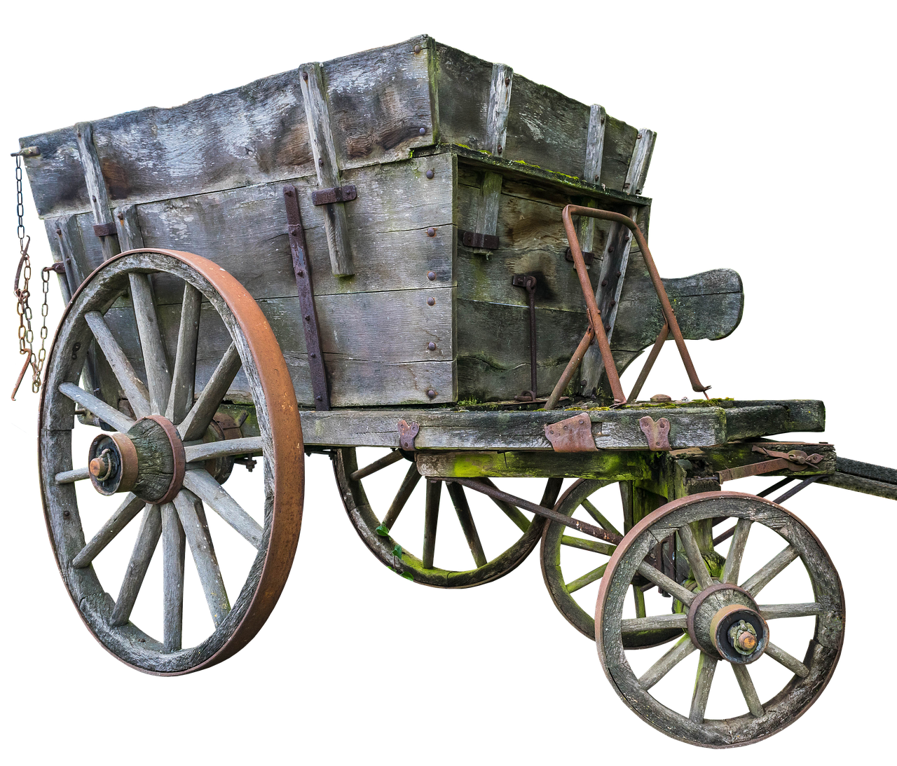 cart oxcart transport free photo