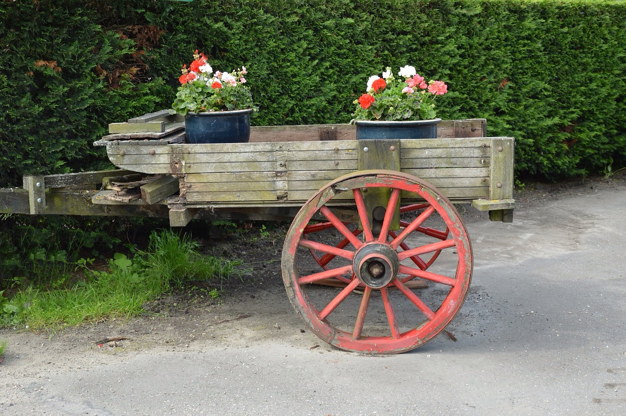 cart transport garden free photo