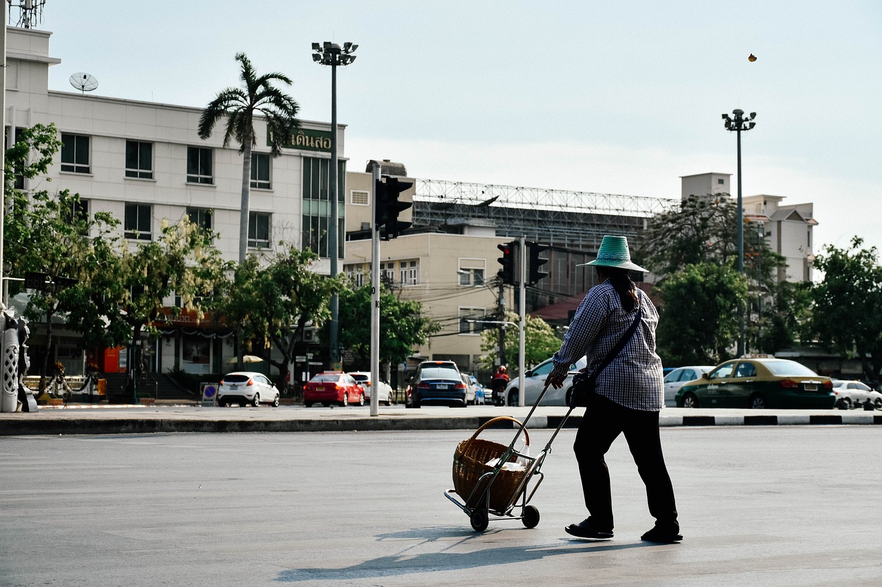 cart lady old free photo