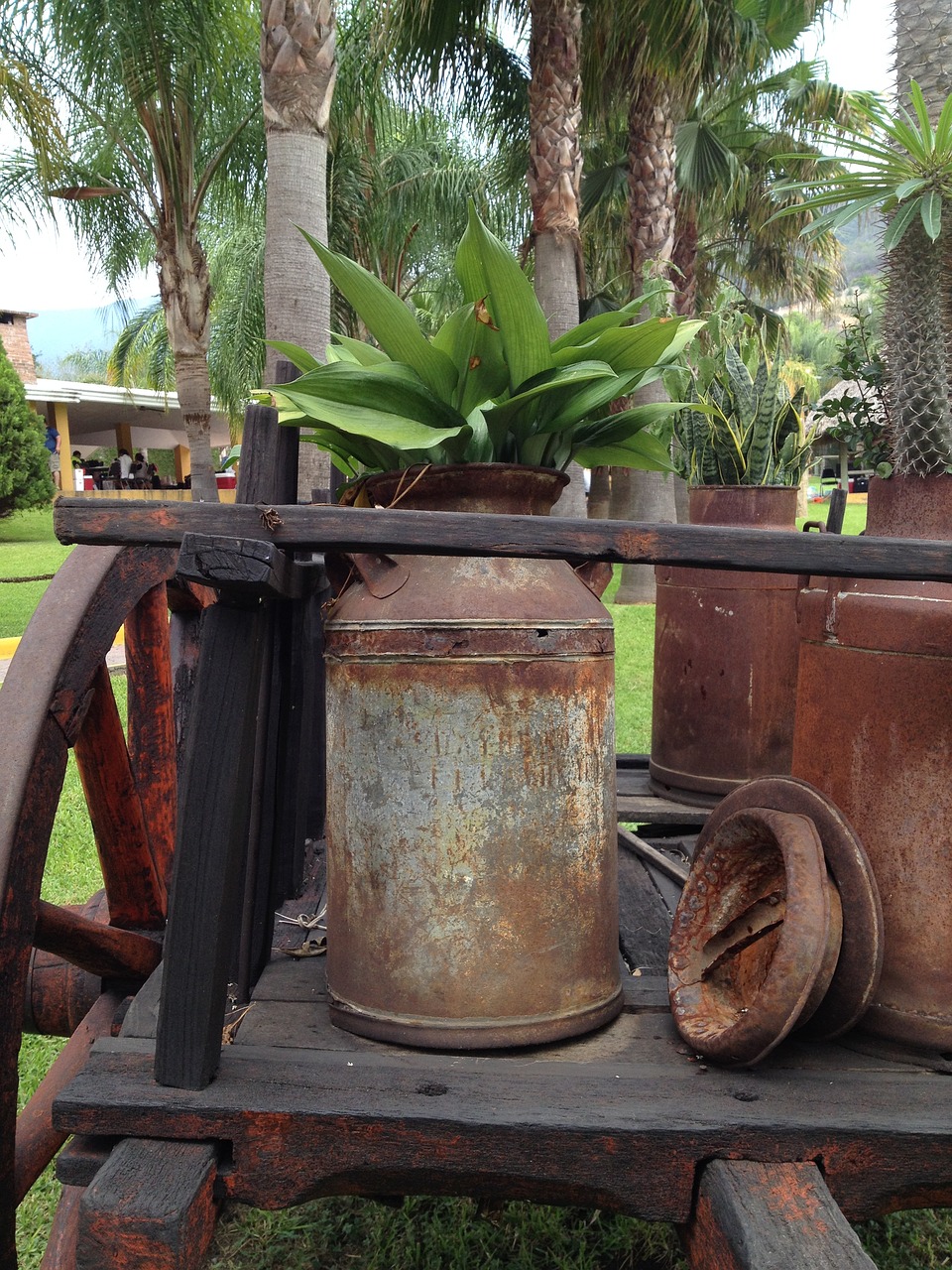 cart landscape vintage free photo