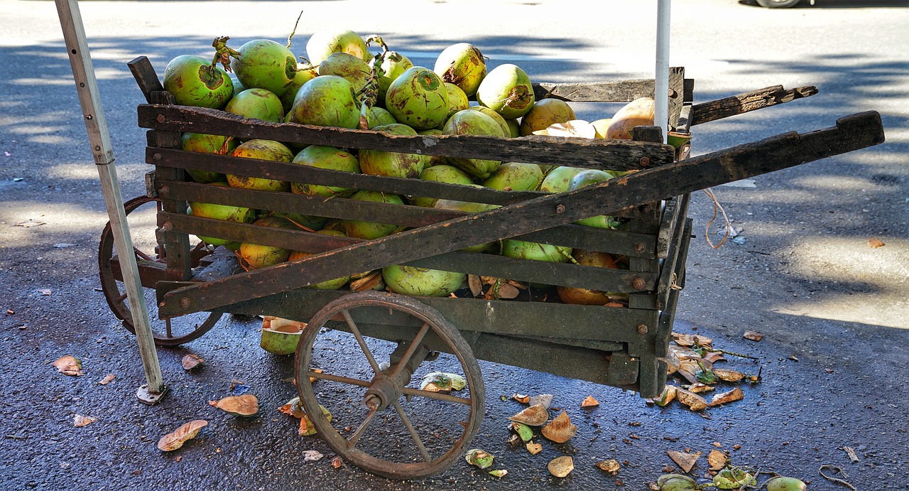cart wooden coconuts free photo