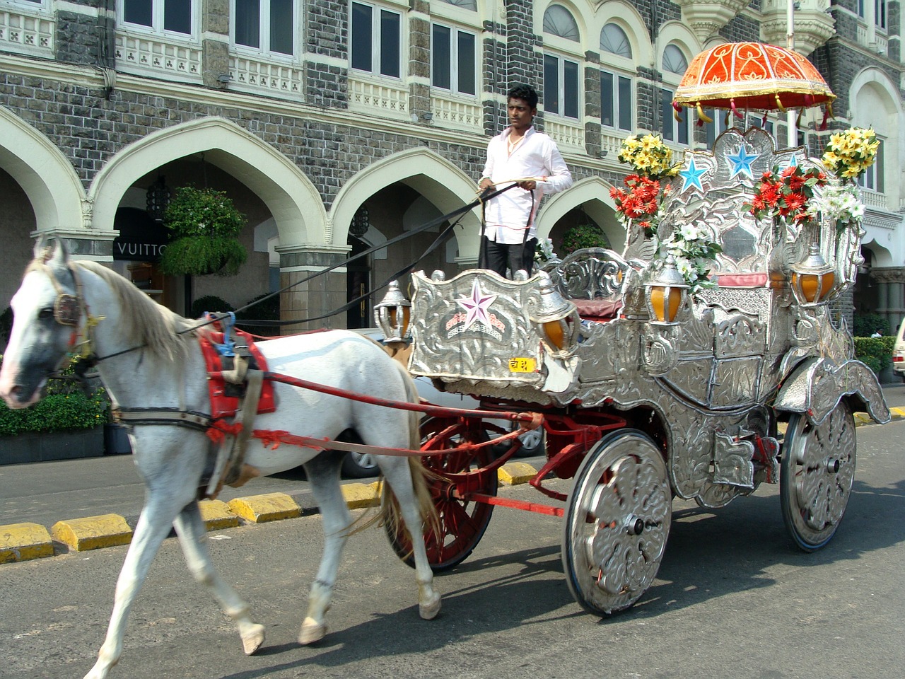 cart horse cart horse chariot free photo
