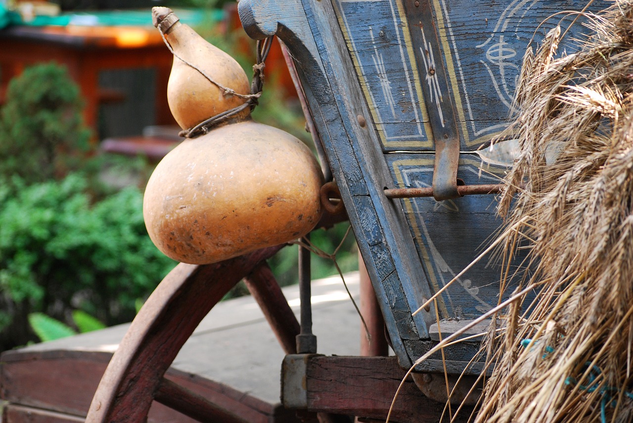 cart gourd village free photo