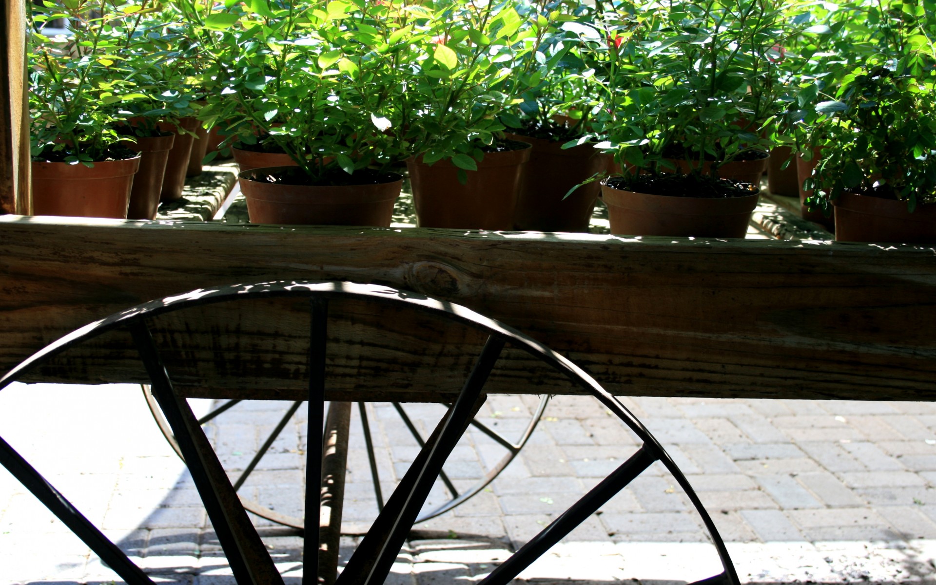 cart wood pots free photo