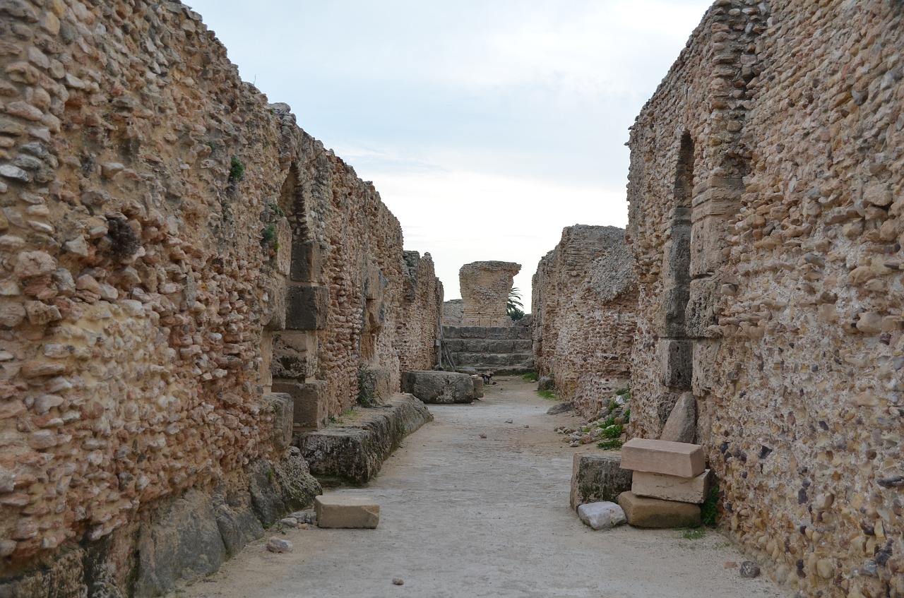 carthage tunisia roman ruins free photo