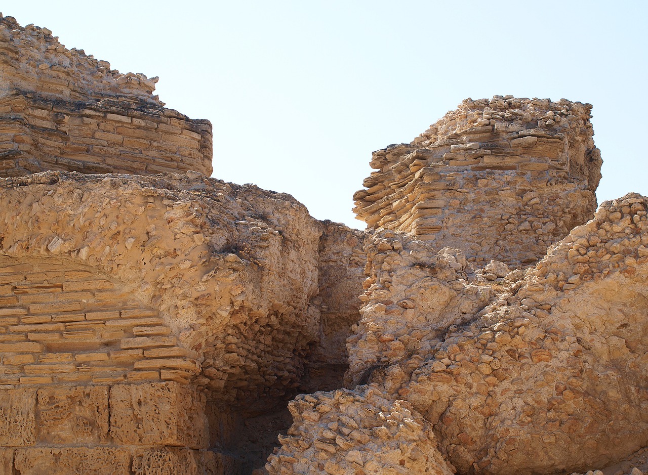 carthage ruins excavations free photo
