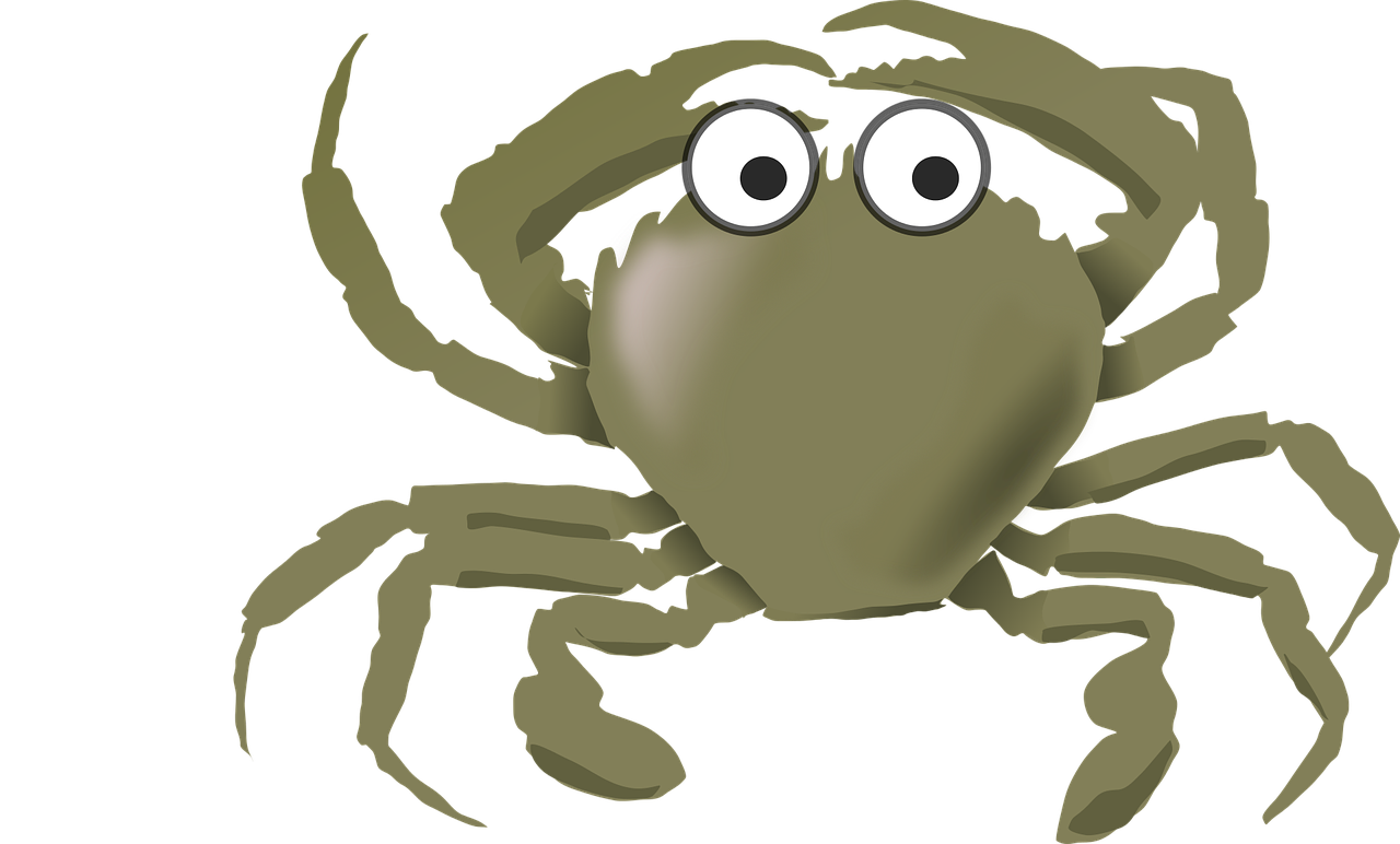 cartoon crab green free photo