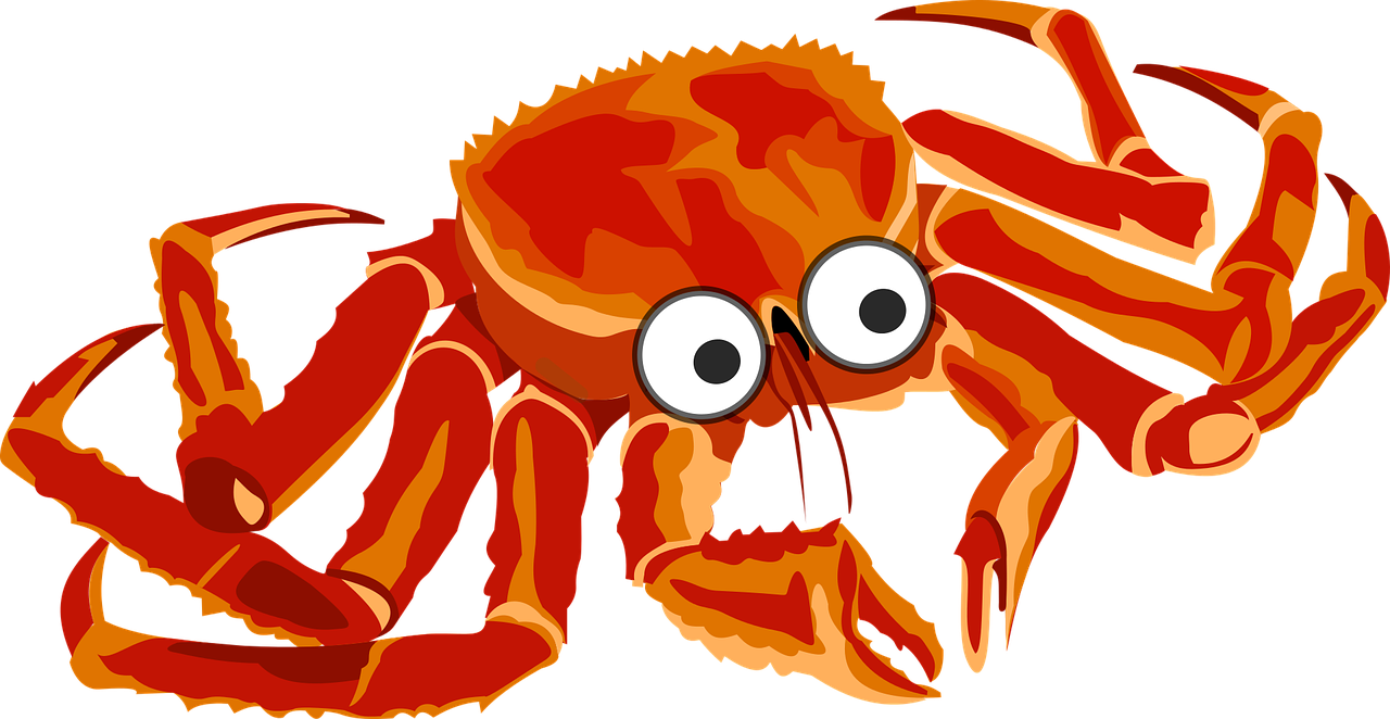 cartoon crab orange free photo