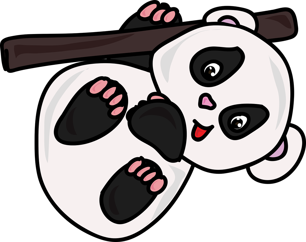 cartoon zoo panda free photo