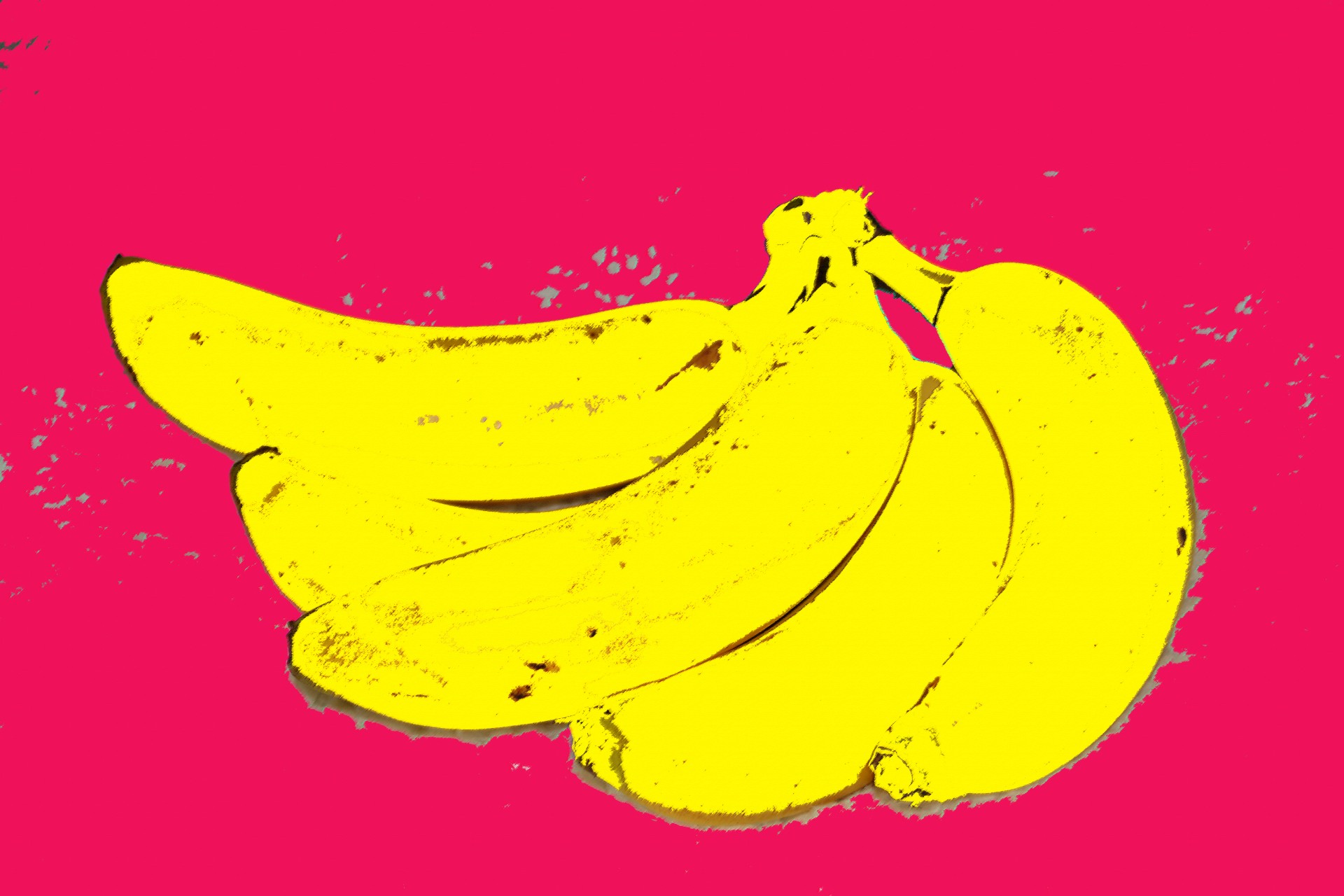 painting banana fruit free photo