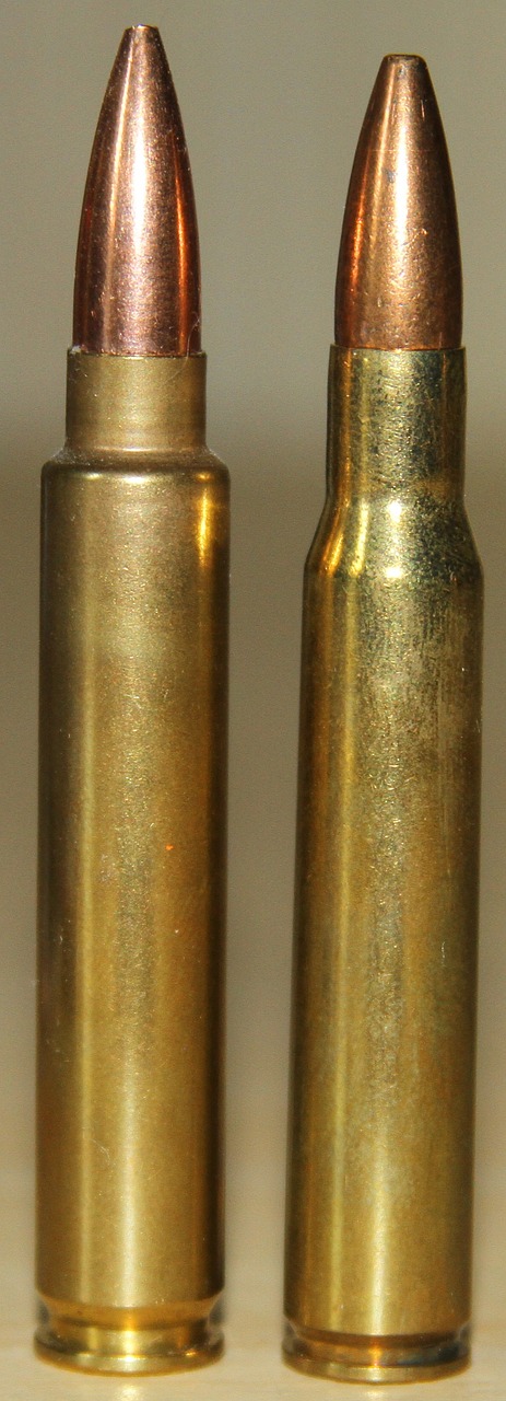 cartridge bullet ammunition free photo