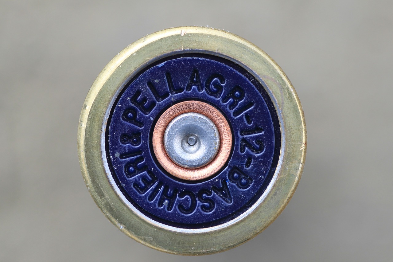 cartridge case ammunition shotgun free photo