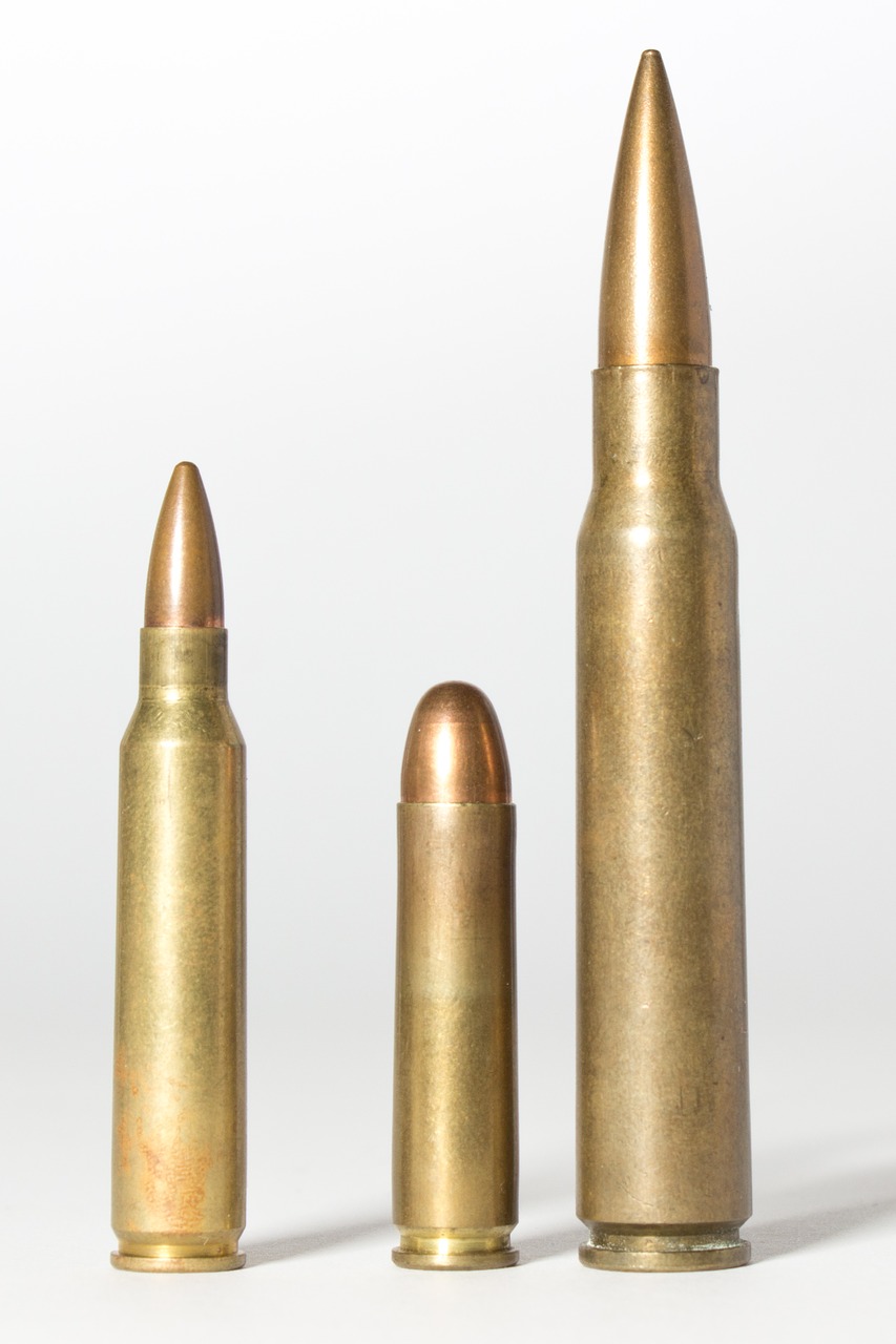 cartridges muniiton caliber free photo