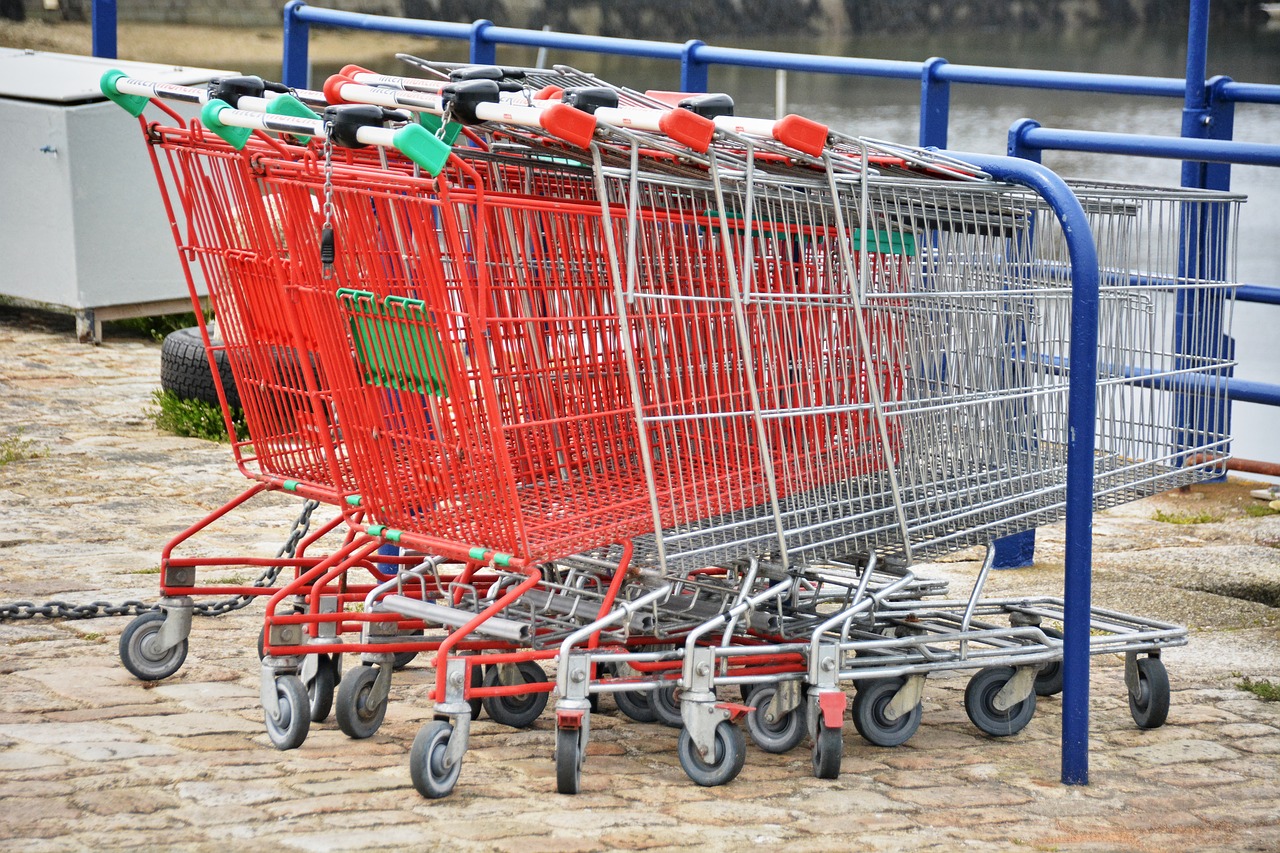 carts supermarket grocery shopping free photo