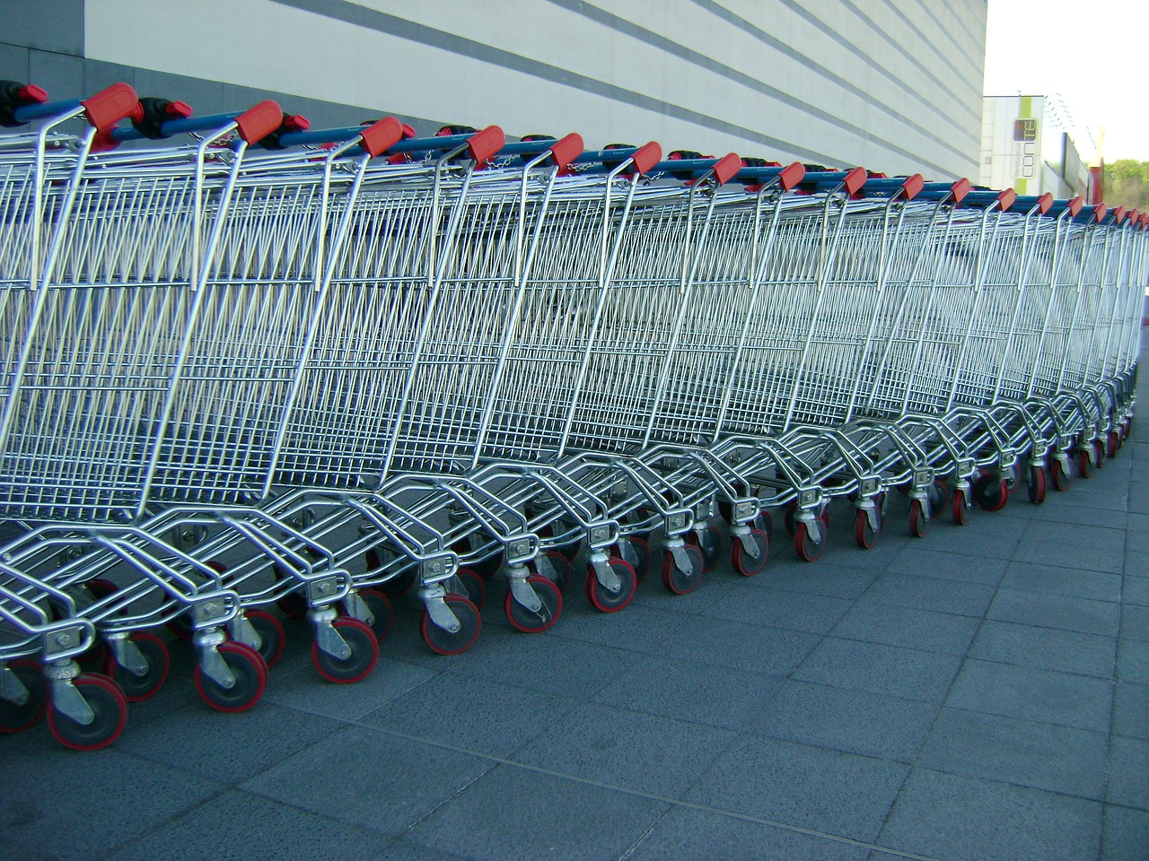 carts  expense  shopping cart free photo