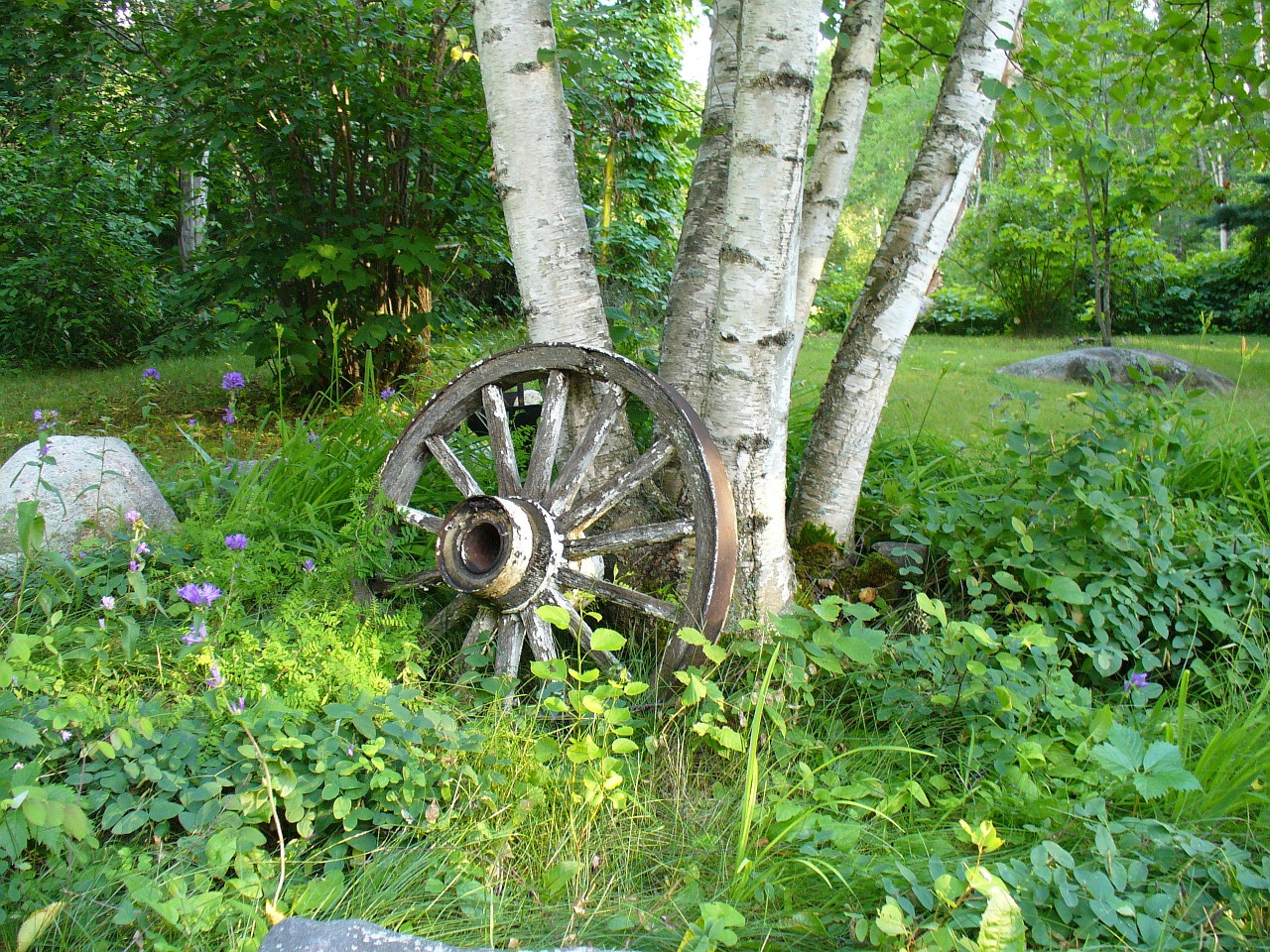 cartwheel tree wheel free photo