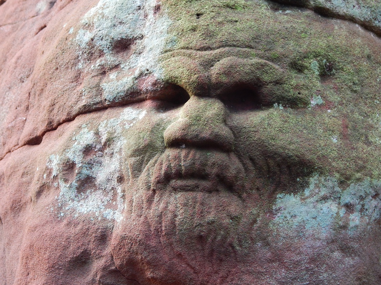 carved face dunino den scotland free photo