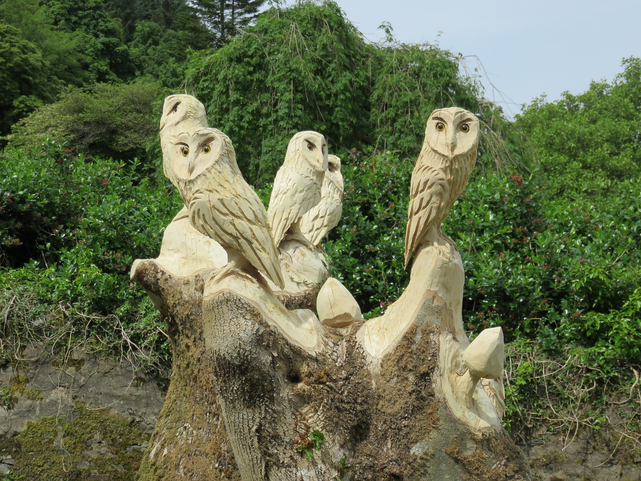 carved owls wise wood free photo