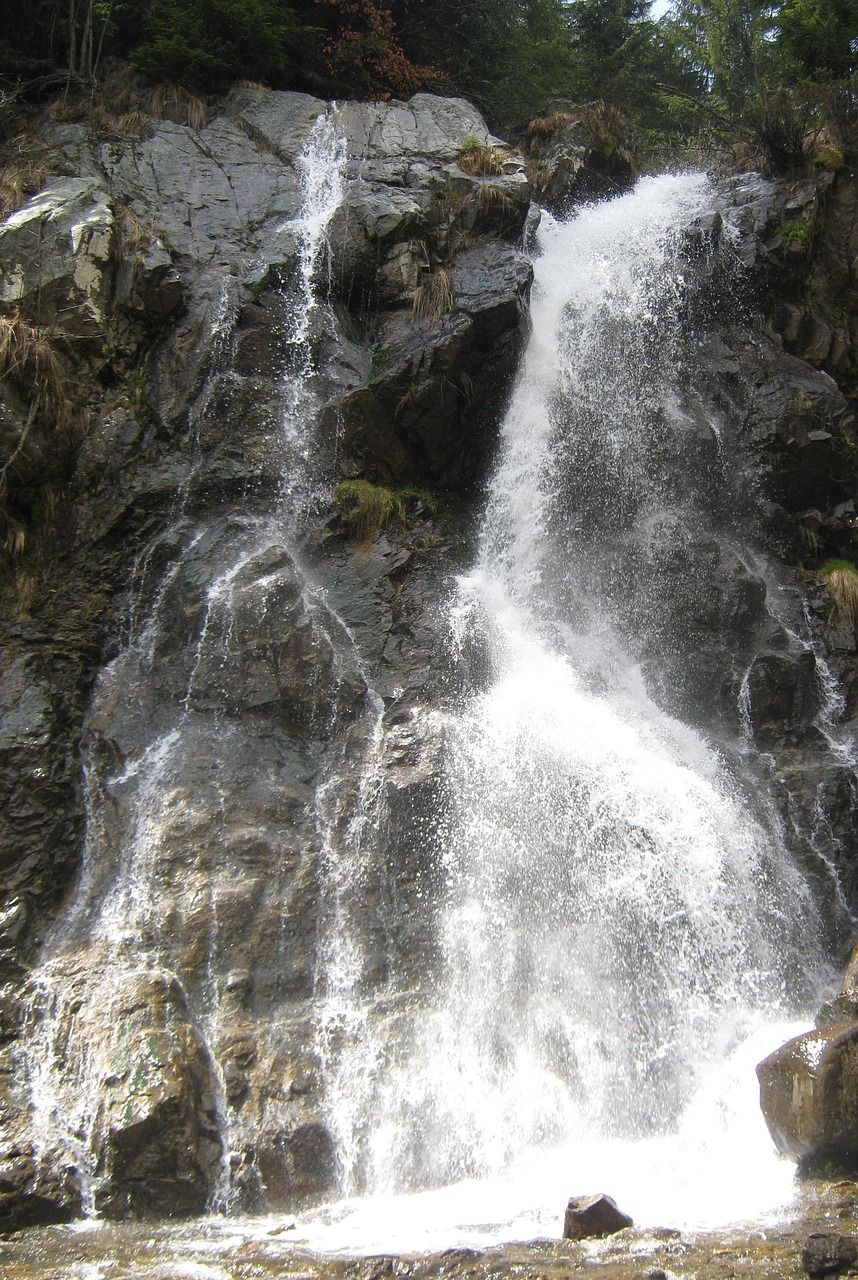 cascada waterfall mountains waterfall apuseni free photo