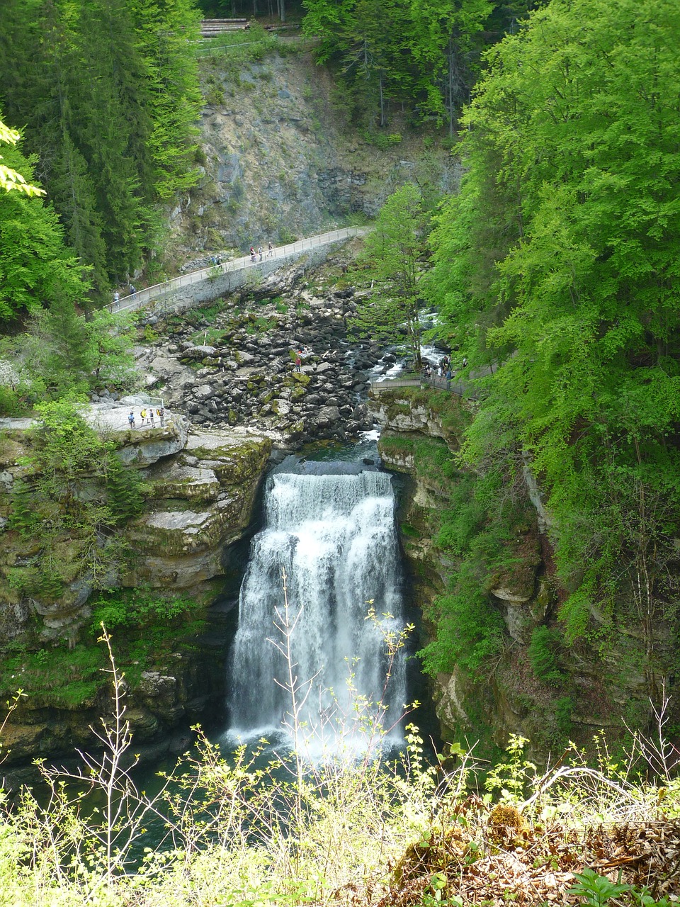 cascade jura forest free photo