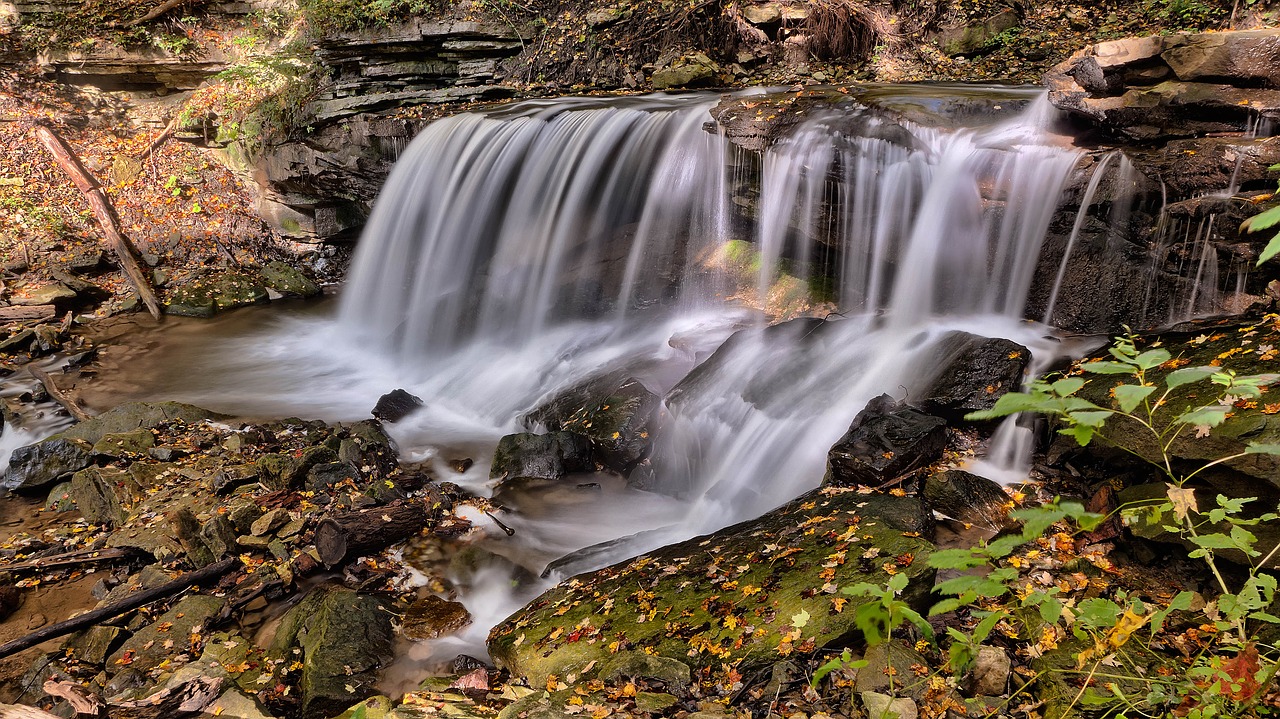 cascade creek landscape free photo