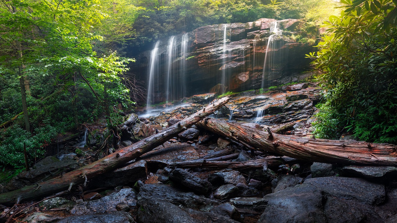 cascade creek environment free photo