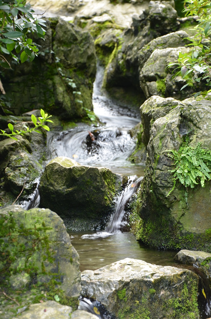 cascade nature water free photo