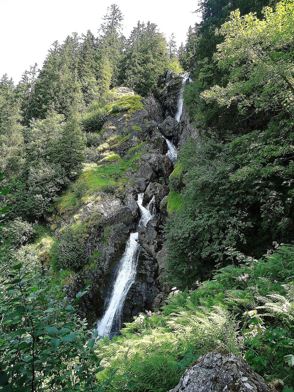 cascade nature alps free photo