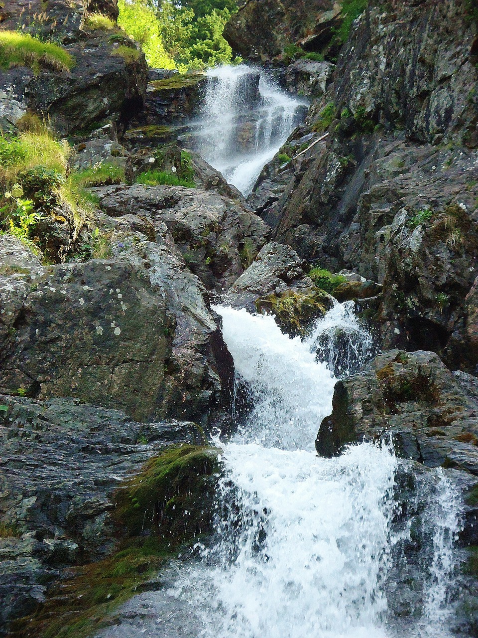 cascade nature mountain free photo