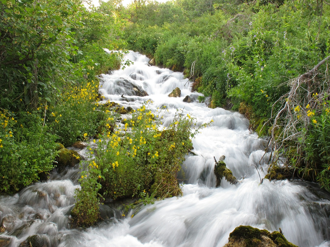 cascade springs water free photo