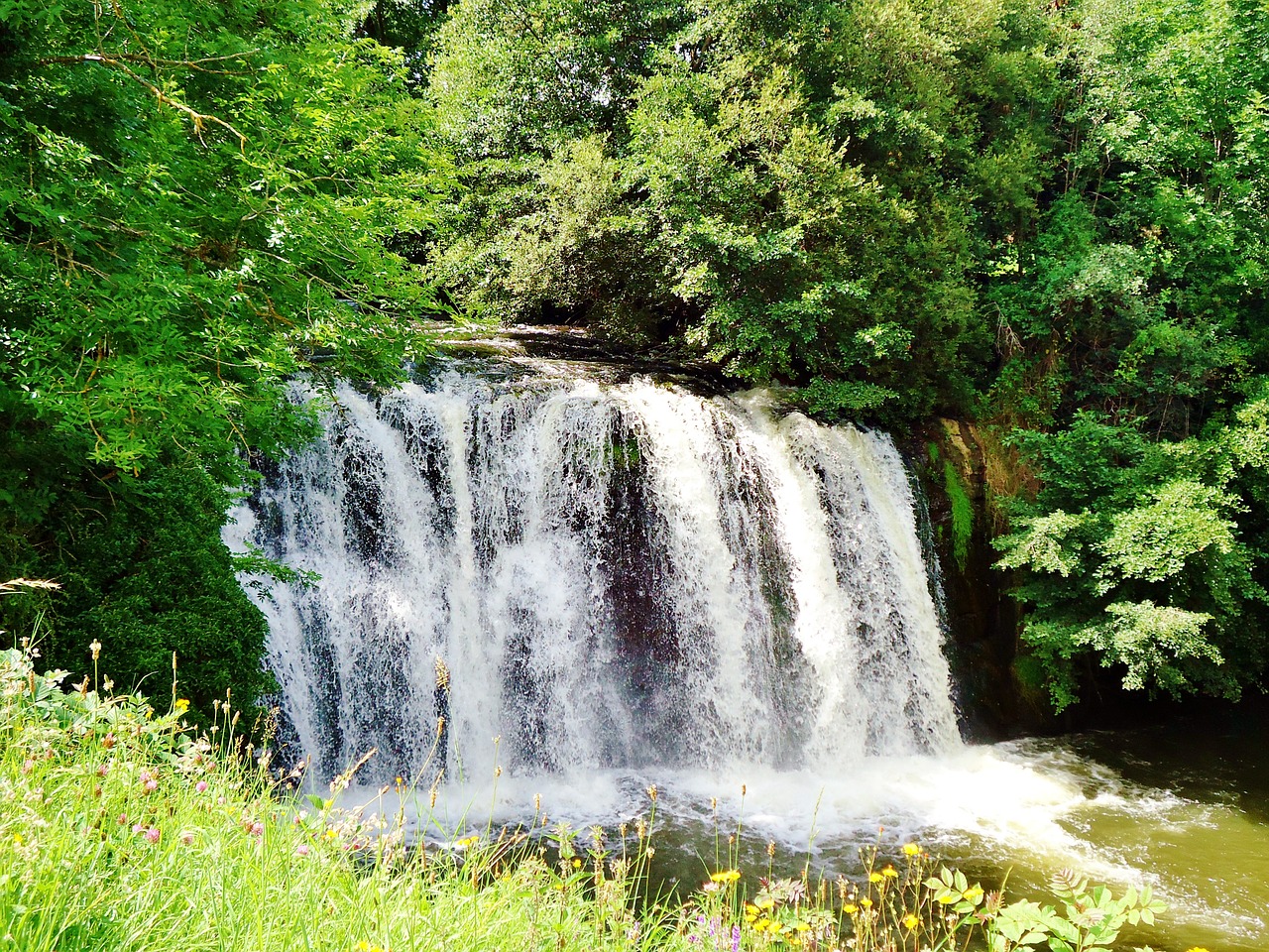 cascade water nature free photo