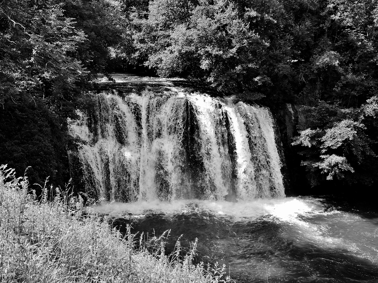 cascade water nature free photo