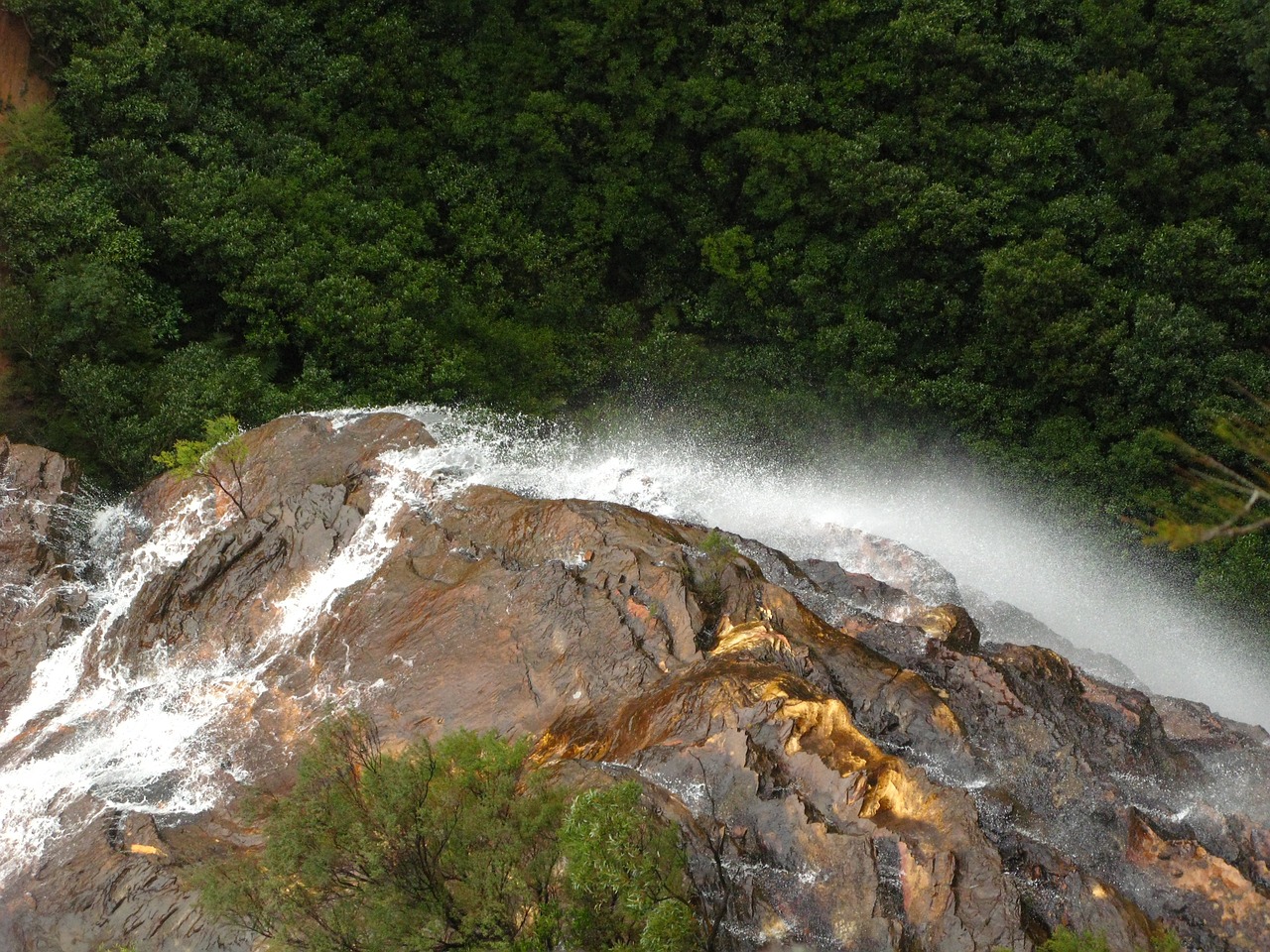 cascade blue mountains australia free photo