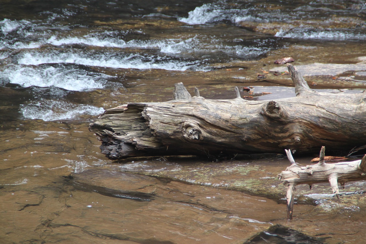 cascade falls virginia fallen tree free photo