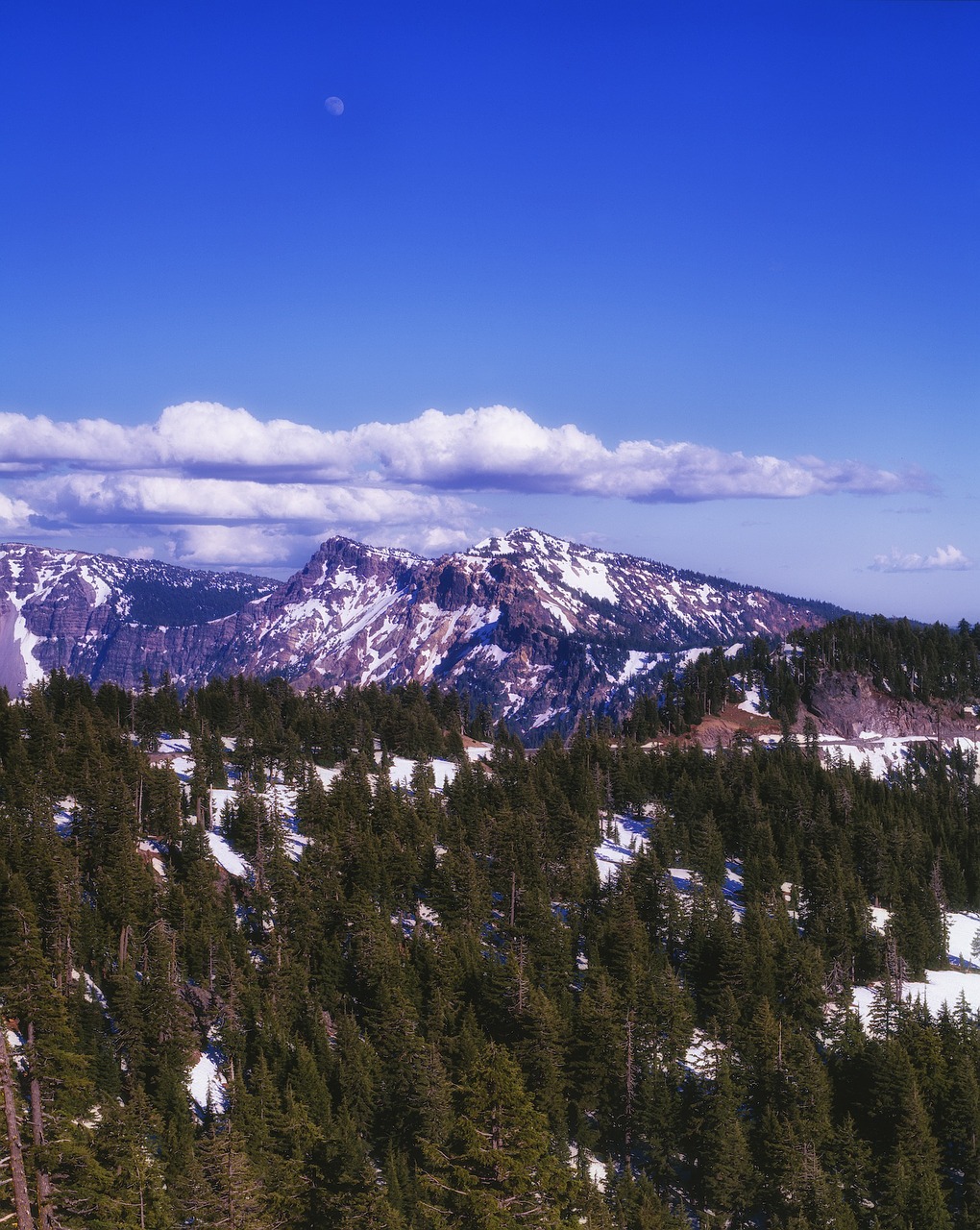 cascade mountains forest trees free photo