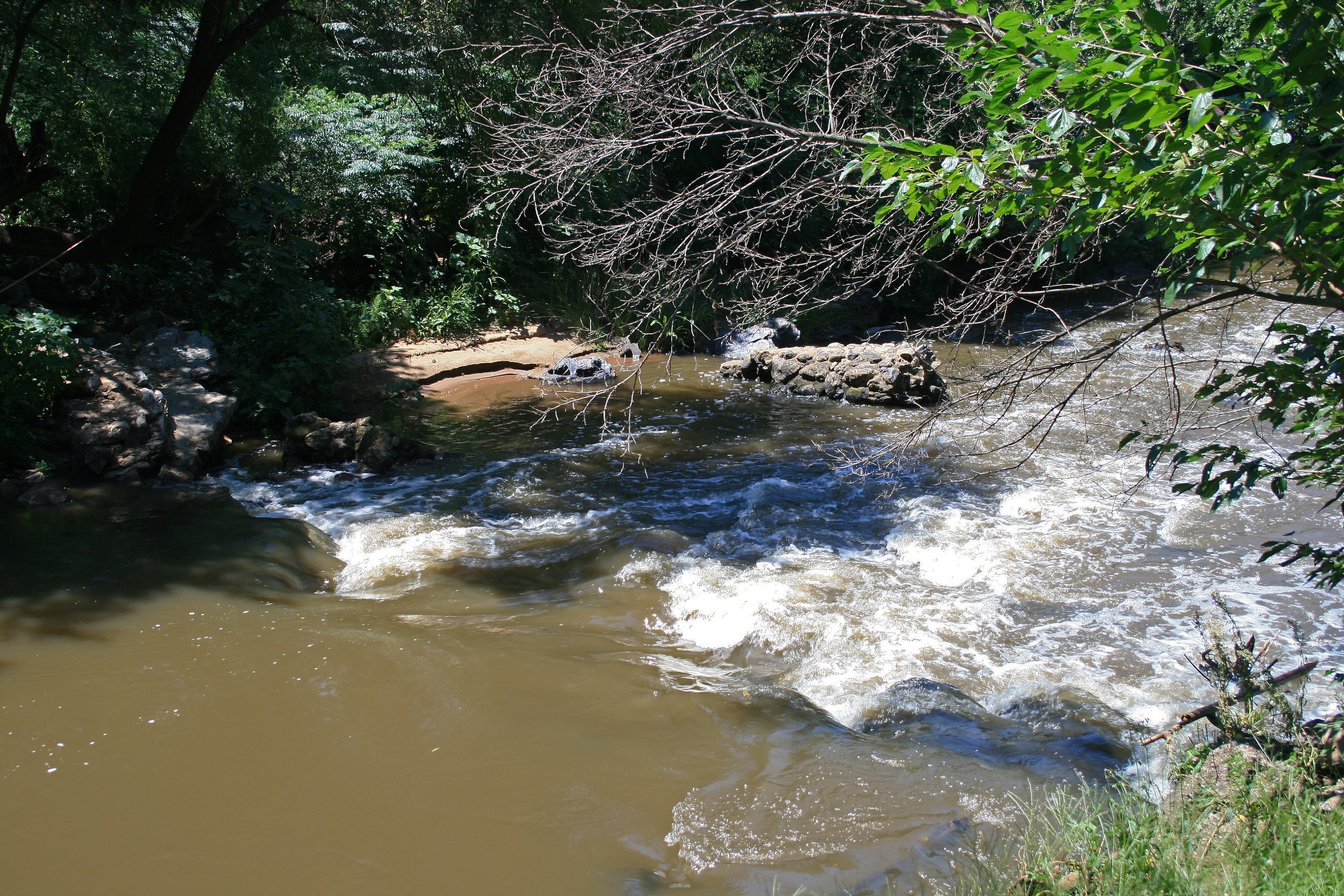stream brook river free photo