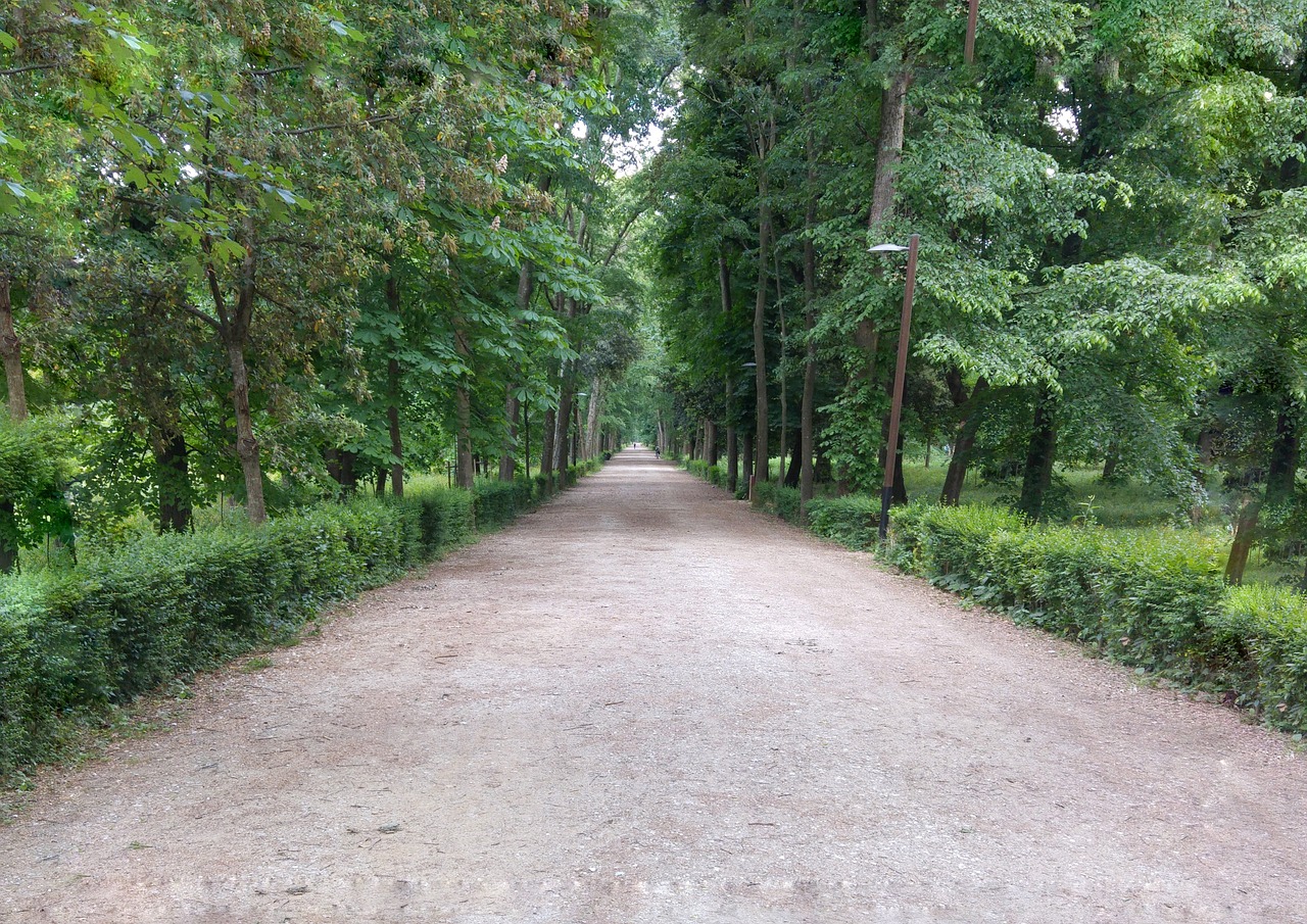 cascine florence park free photo