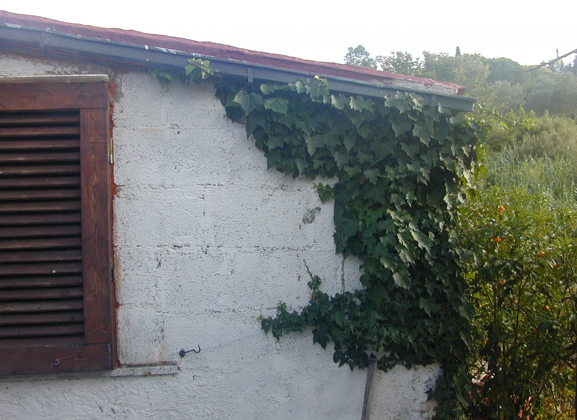 cottage countryside tuscany free photo