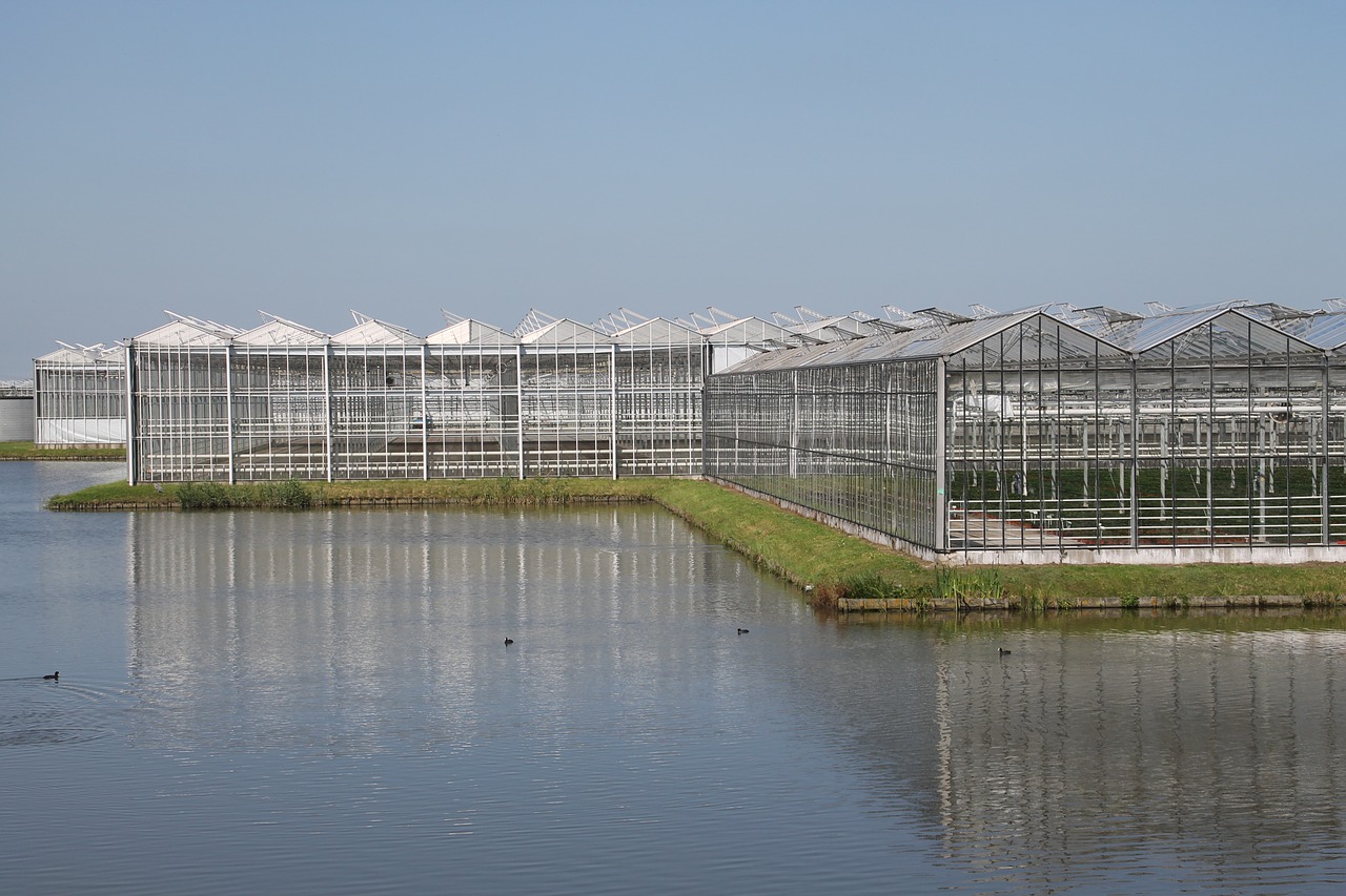cash greenhouse horticulture horticulture free photo