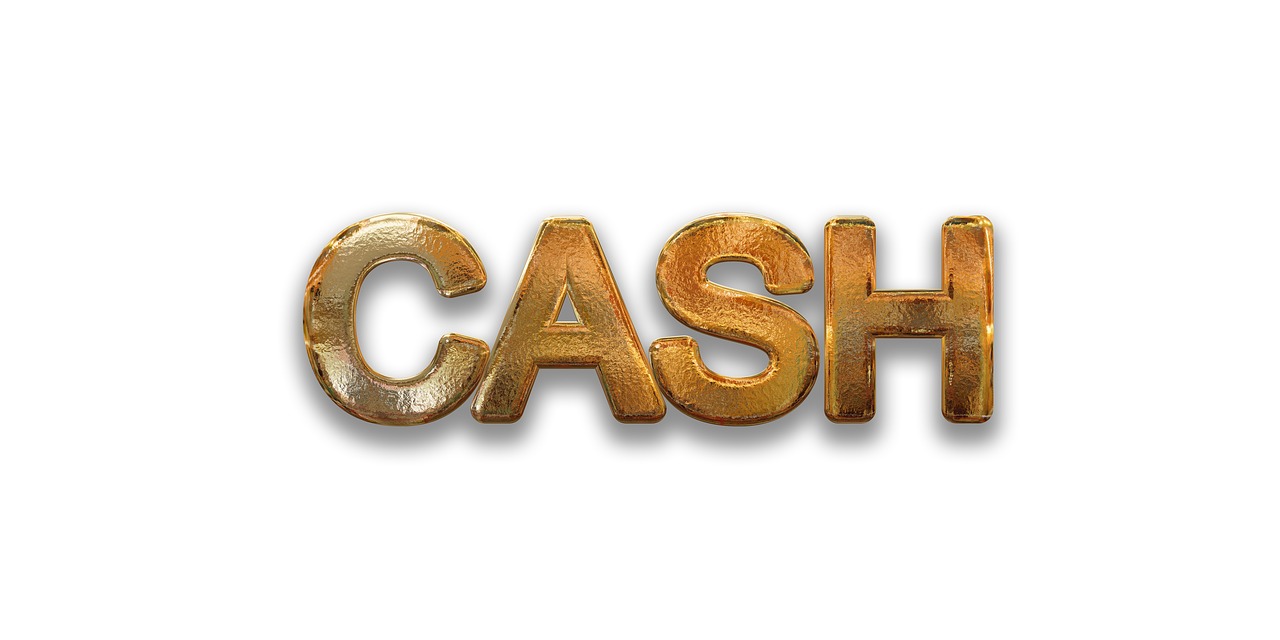 cash wealth money free photo