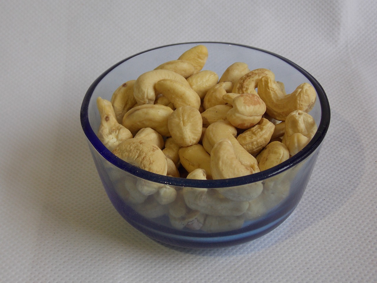 cashew nut white free photo