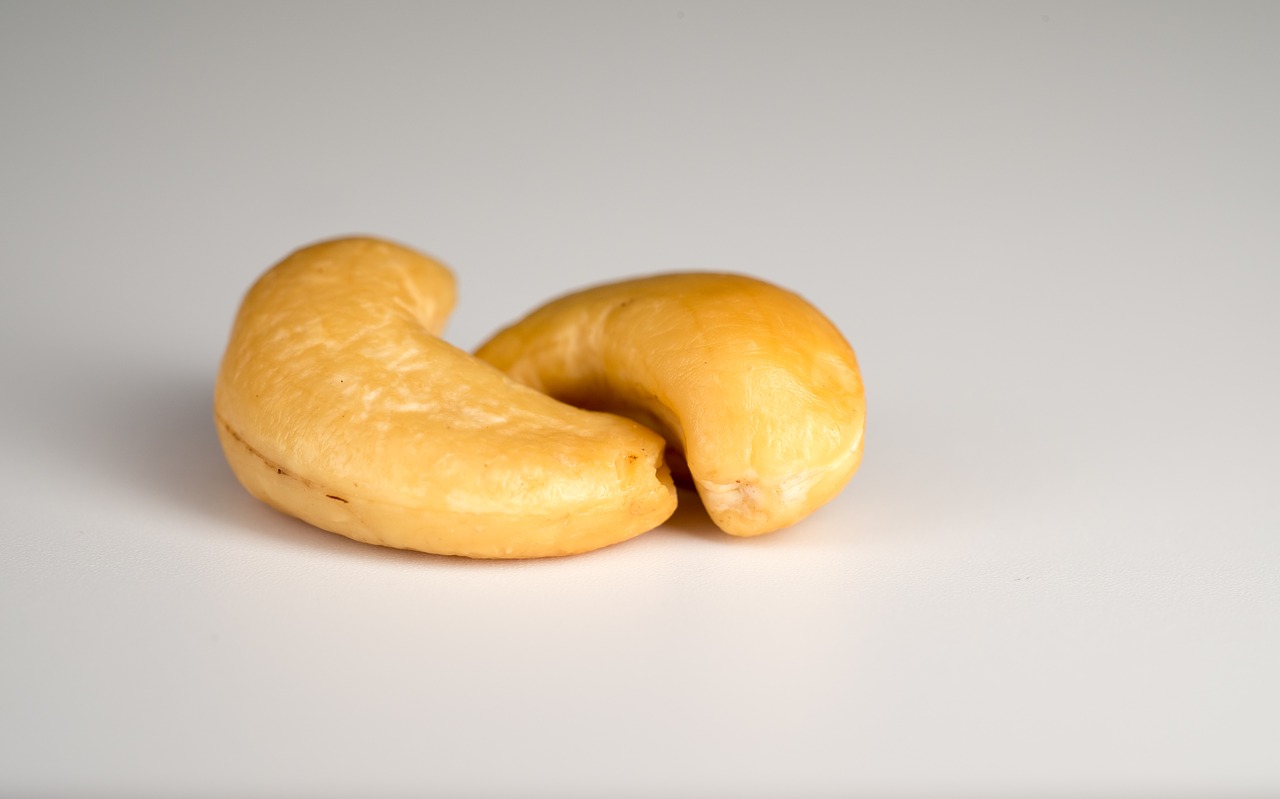 cashew walnut bold free photo